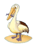 fishin' frenzy seagull symbol