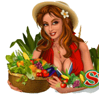 Sweet Harvest slot game