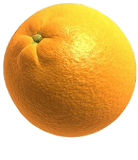fruit warp orange