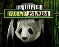 untamed-giant-panda-slot-game