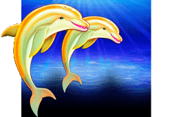 dolphin gold slot