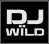 dj wild slot