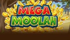 mega moolah mobile slot
