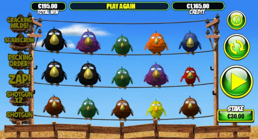 birdz slot screenshot