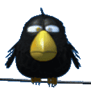 birdz_slot_blackbird_symbol