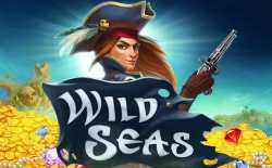 wild seas