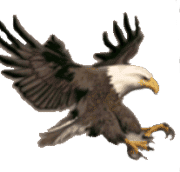 shamans dream slot eagle symbol