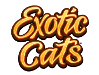 exotic cats slot machine