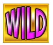 bar x hot spins slot wild symbol