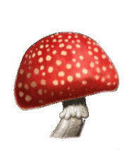 book of the irish slot toadstool symbol