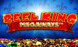 Reel King Megaways Slot