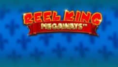 reel king megaways slot mobile